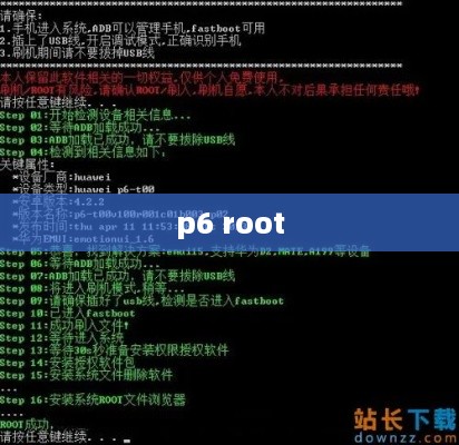 p6 root