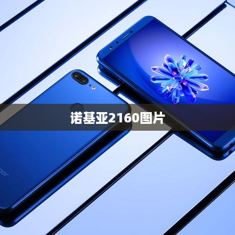诺基亚2160图片