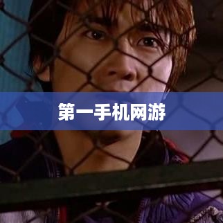 第一手机网游  第1张