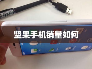 坚果手机销量如何
