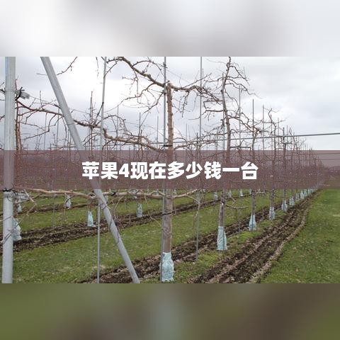 苹果4现在多少钱一台