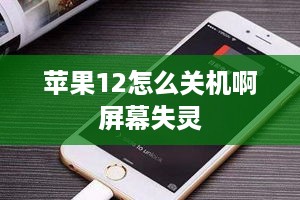 苹果12怎么关机啊屏幕失灵