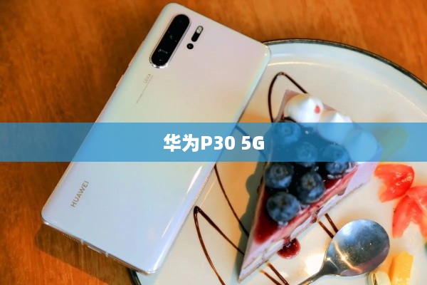 华为P30 5G