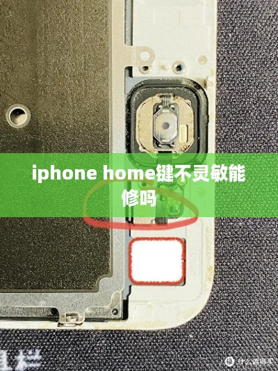 iphone home键不灵敏能修吗