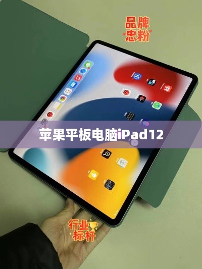苹果平板电脑iPad12