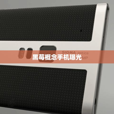黑莓概念手机曝光