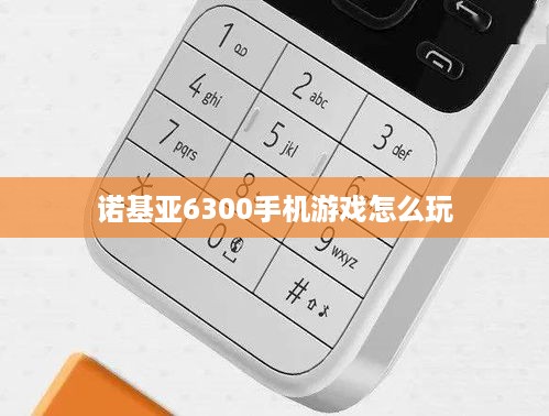 诺基亚6300手机游戏怎么玩  第1张