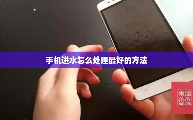 手机进水怎么处理最好的方法