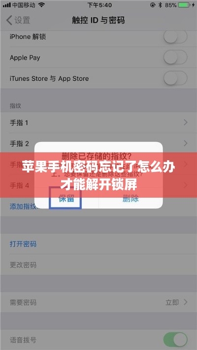 苹果手机密码忘记了怎么办才能解开锁屏