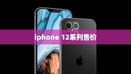 iphone 12系列售价