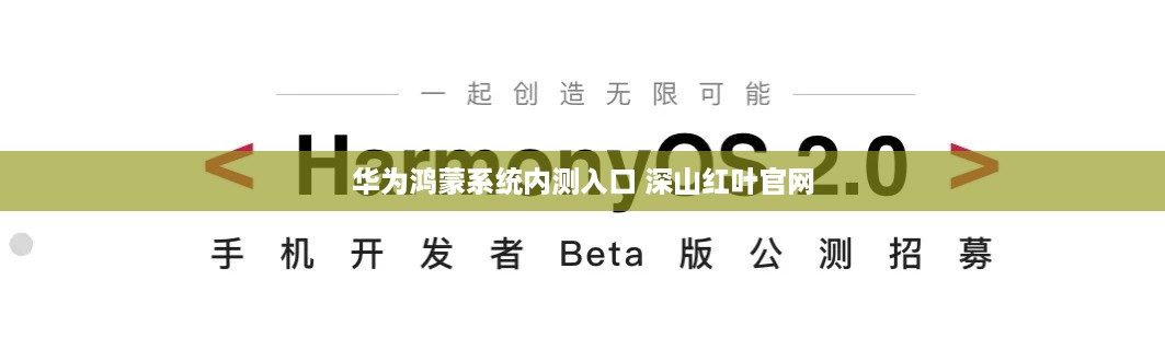华为鸿蒙系统内测入口 深山红叶官网
