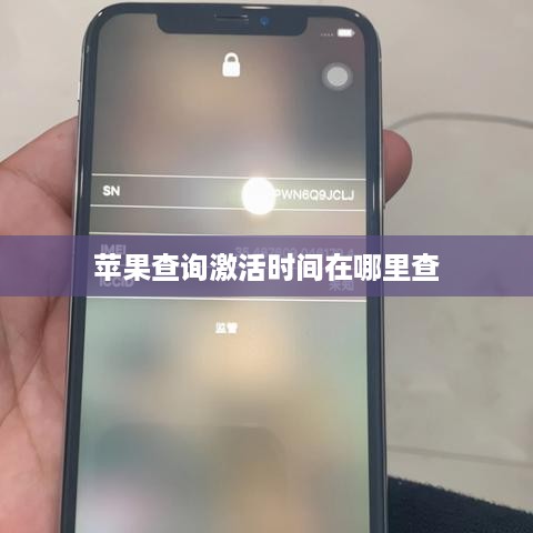 苹果查询激活时间在哪里查