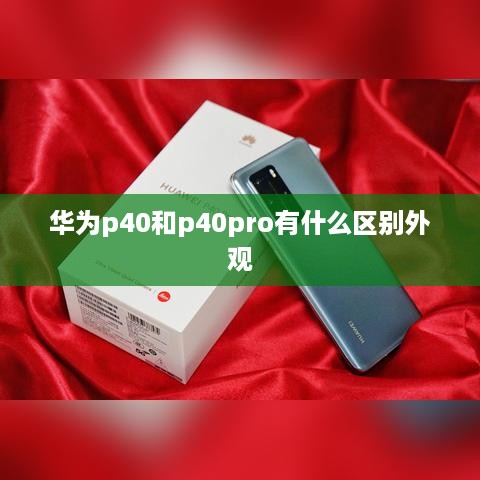华为p40和p40pro有什么区别外观