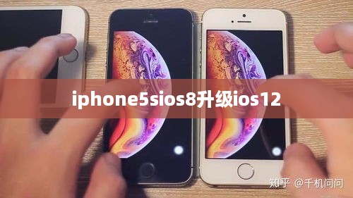 iphone5sios8升级ios12