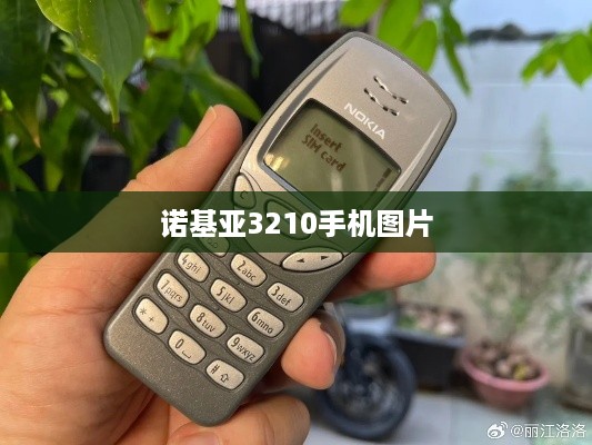 诺基亚3210手机图片