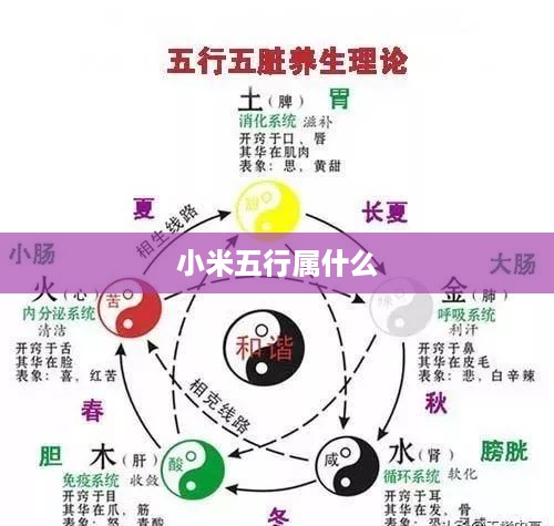 小米五行属什么