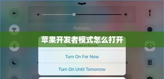 苹果开发者模式怎么打开
