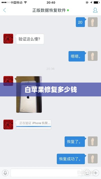 白苹果修复多少钱