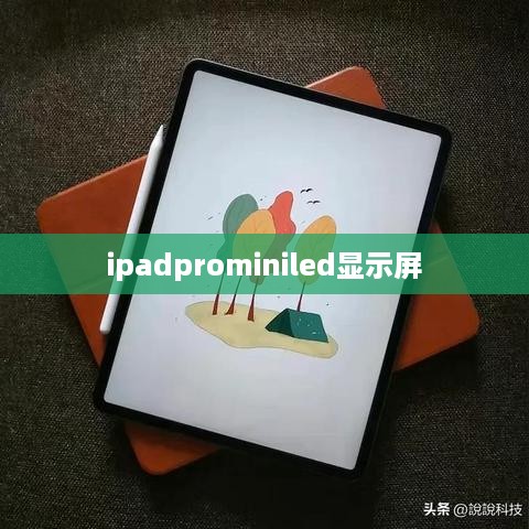 ipadprominiled显示屏