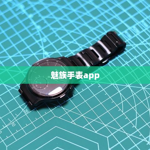 魅族手表app