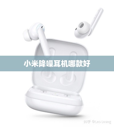小米降噪耳机哪款好
