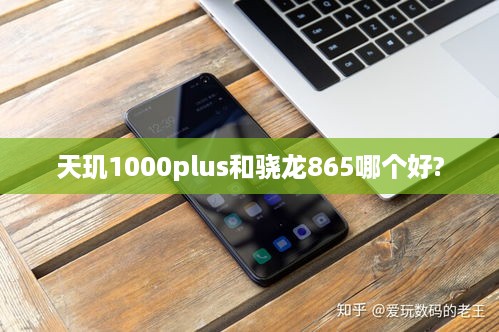 天玑1000plus和骁龙865哪个好?
