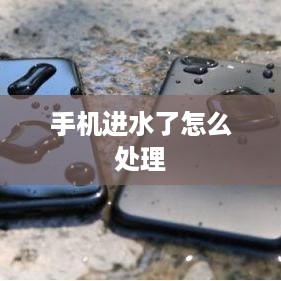 手机进水了怎么处理
