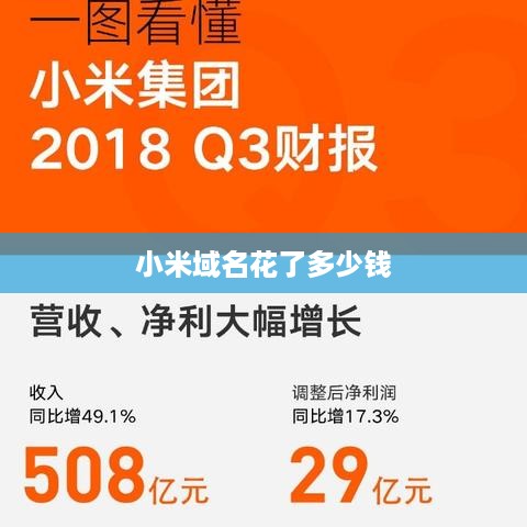 小米域名花了多少钱