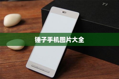 锤子手机图片大全
