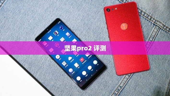 坚果pro2 评测