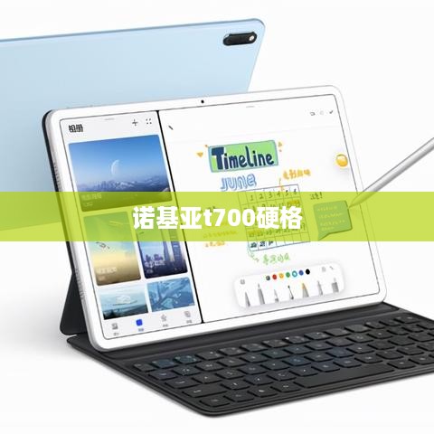 诺基亚t700硬格