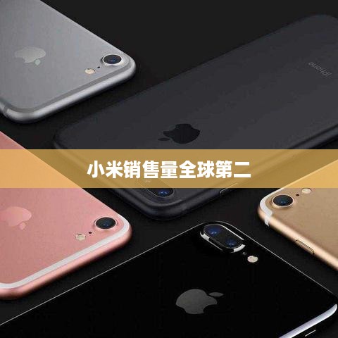 小米销售量全球第二