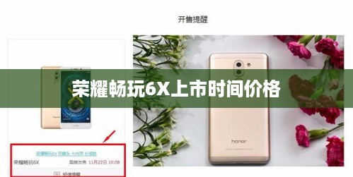 荣耀畅玩6X上市时间价格