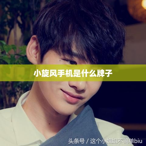 小旋风手机是什么牌子