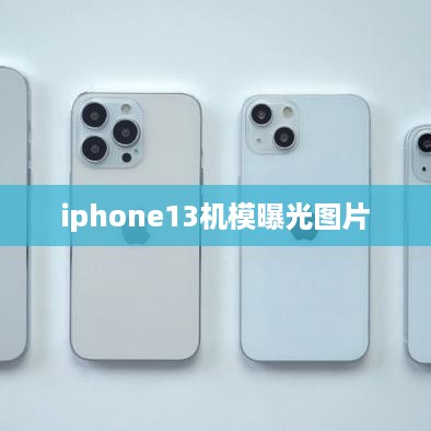 iphone13机模曝光图片