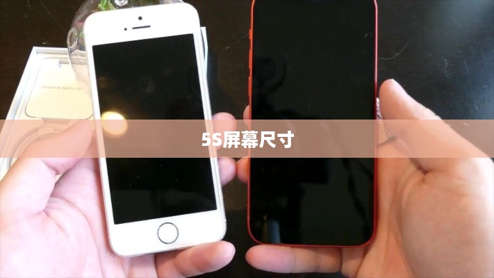 5S屏幕尺寸