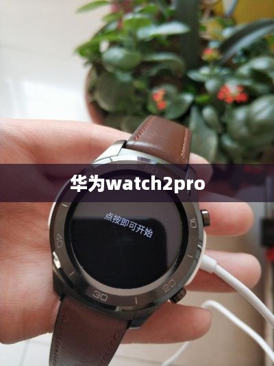 华为watch2pro