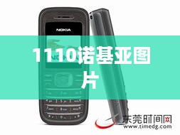 1110诺基亚图片