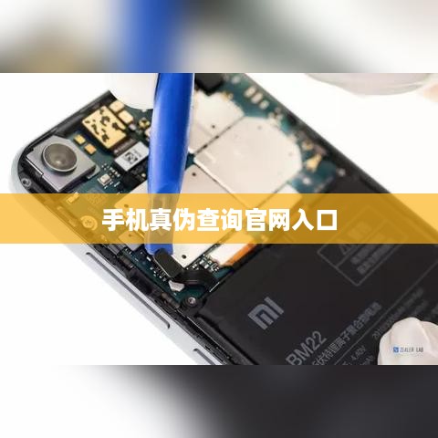 手机真伪查询官网入口