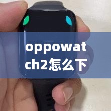 oppowatch2怎么下载第三方软件