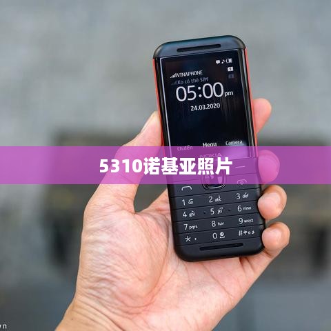 5310诺基亚照片