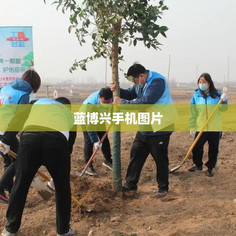 蓝博兴手机图片
