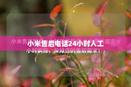 小米售后电话24小时人工