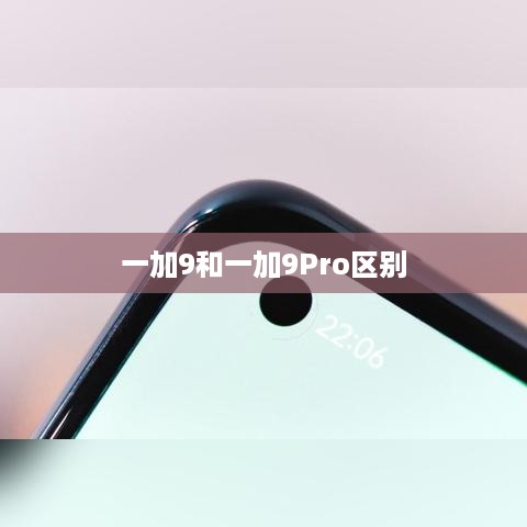 一加9和一加9Pro区别