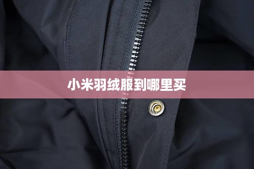 小米羽绒服到哪里买