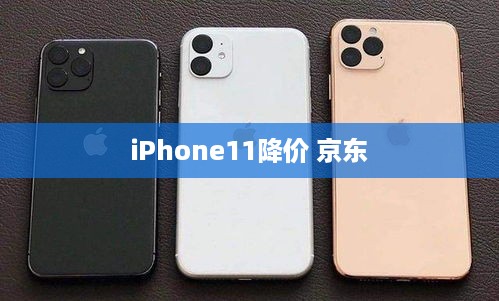 iPhone11降价 京东