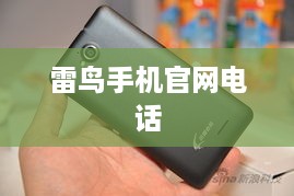 雷鸟手机官网电话