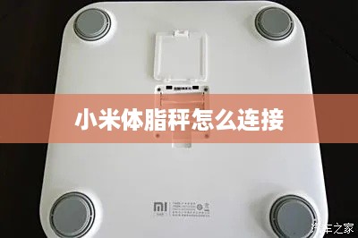 小米体脂秤怎么连接