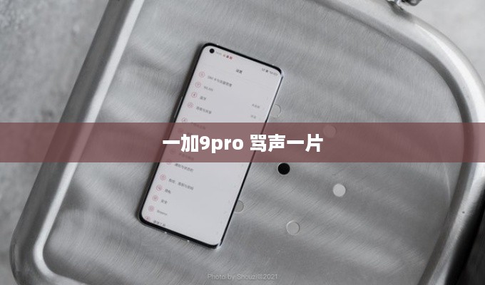 一加9pro 骂声一片