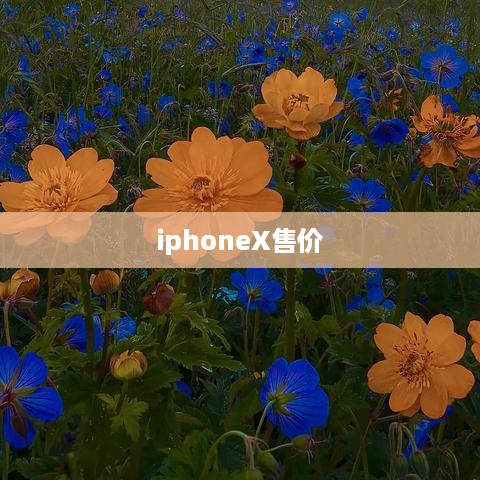 iphoneX售价